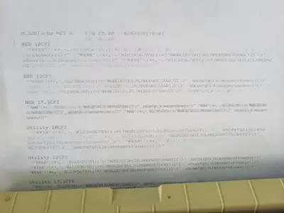 OKI Data microline 320 turbo Image