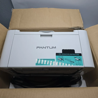 Pantum P2502w Image