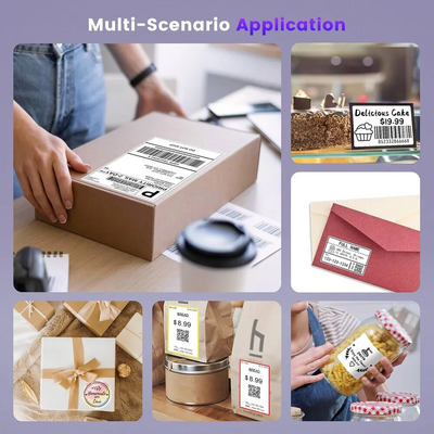 Phomemo D520BT Image