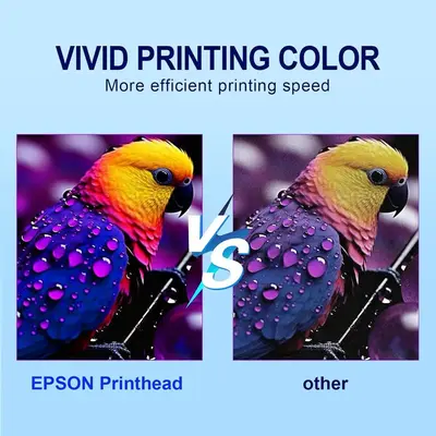 PLK A3 printer+Powder Shaker&Dryer Image