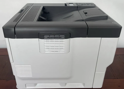 Ricoh P 501 Image