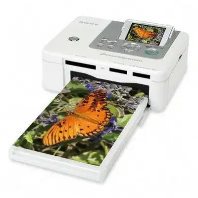 Sony DPP-FP90 Image