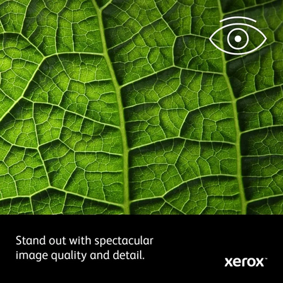 Xerox Office Products 6515/DNI Image