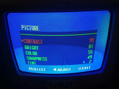 Disney P1310atv Image