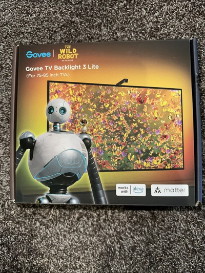 Govee 3 lite Image