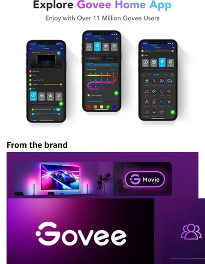 Govee 3 lite Image