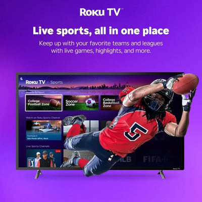 Hisense 43H4030F3 Image