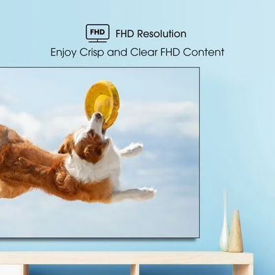 Hisense 43H4030F3 Image