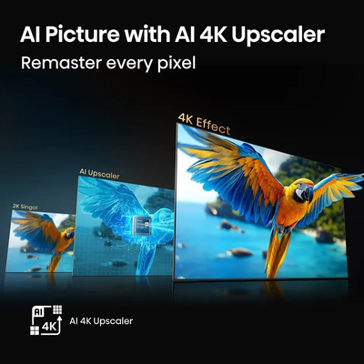Hisense 50QD6QF Image