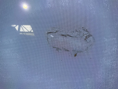 LG Oled55g1pua Image