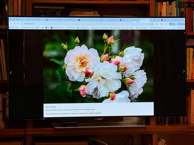 LG C7p Image