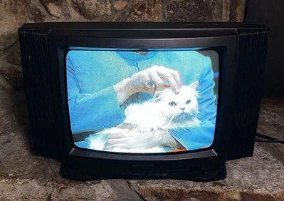 Magnavox RR1350 Image