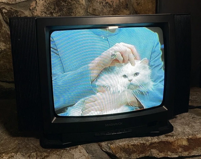 Magnavox RR1350 Image