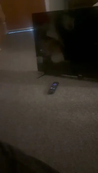 ONN ONC17TV001 Image