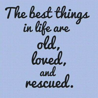 Panasonic PV-C1322 Image