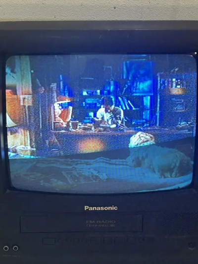 Panasonic PV-M1347 Image
