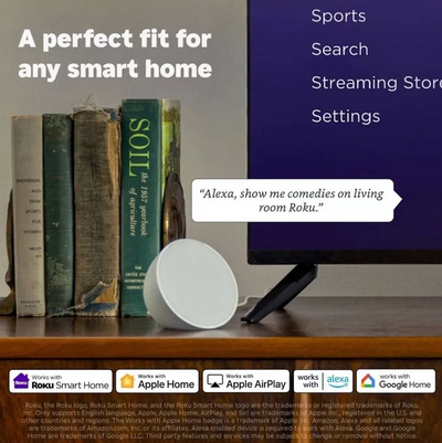 ROKU 65R4C4 Image