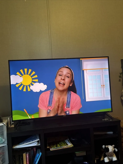 ROKU TCL 55S435 Image