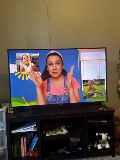 ROKU TCL 55S435 Image
