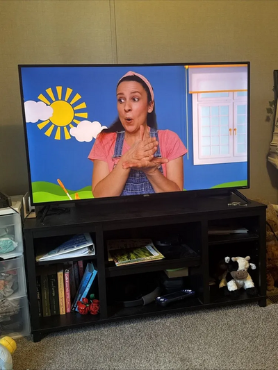 ROKU TCL 55S435 Image