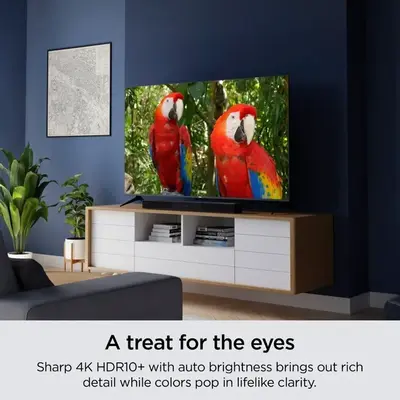 ROKU 43R4A4 Image