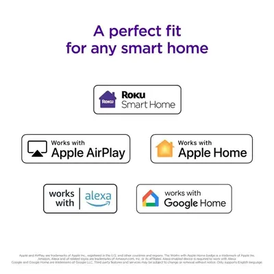ROKU 43R4A4 Image