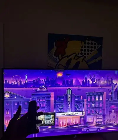 ROKU 100012586 Image
