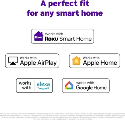 ROKU 32 Image
