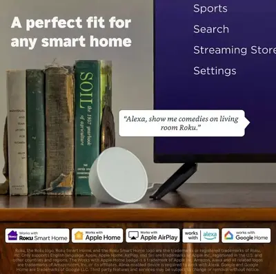 ROKU 50R4C4 Image