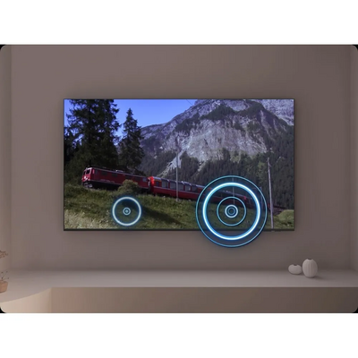 Samsung Qn100qn80ffxza Image