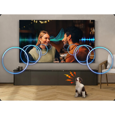 Samsung Qn100qn80ffxza Image