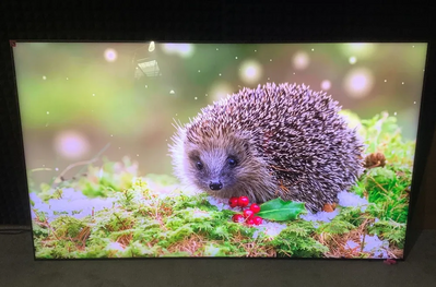Samsung Qn98qn990c Image