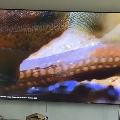 Samsung Crystal uhd cu7000b Image