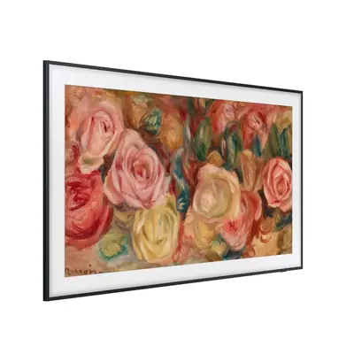 Samsung QN65LS03DAF Image