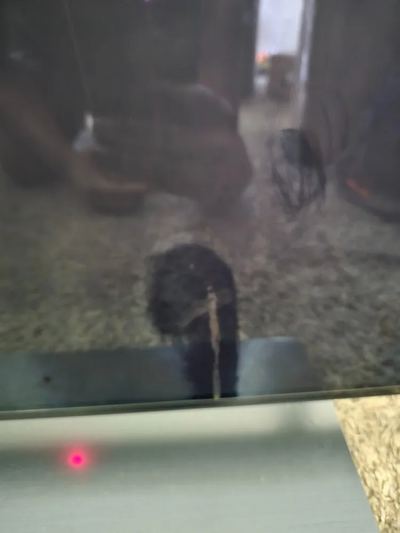 Samsung S90d Image