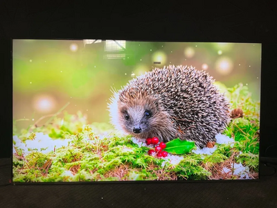 Samsung Q80d Image