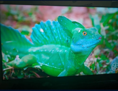 Samsung Q70t Image