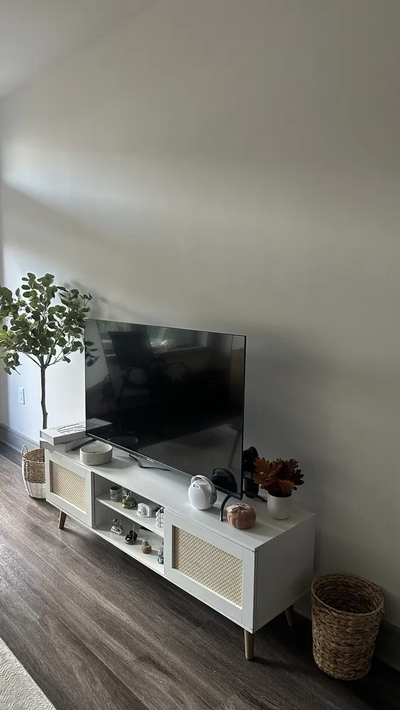 Sansui ES50V1UA Image