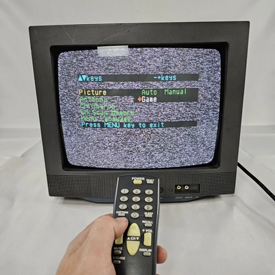 SANYO DS13310 Image