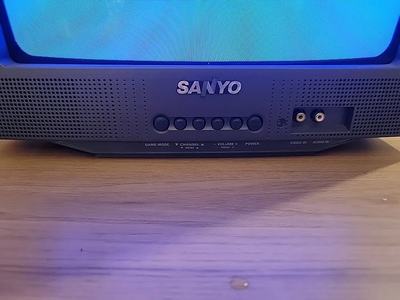 SANYO Ds13310 Image