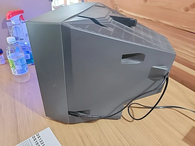 SANYO Ds13310 Image
