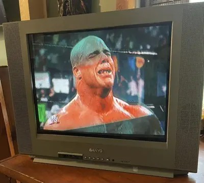 SANYO DS20424 Image