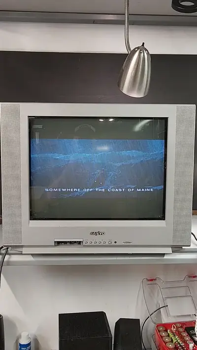 SANYO Ds20930 Image