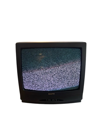 SANYO DS19390 Image