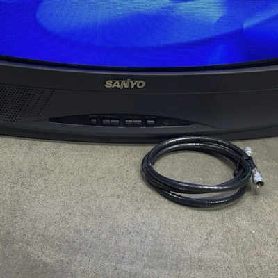SANYO DS19390 Image