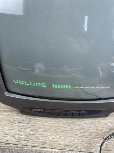 SANYO Ds13630 Image