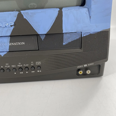Sharp 13vt-n100 Image