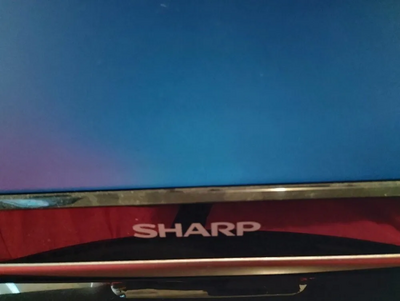 Sharp LC-19DV22U Image