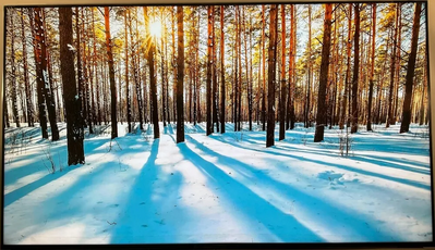 Sony Fw85ez20l Image