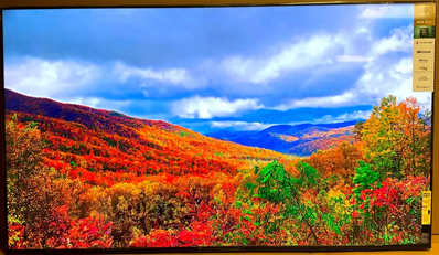 Sony FWD85X80K Image